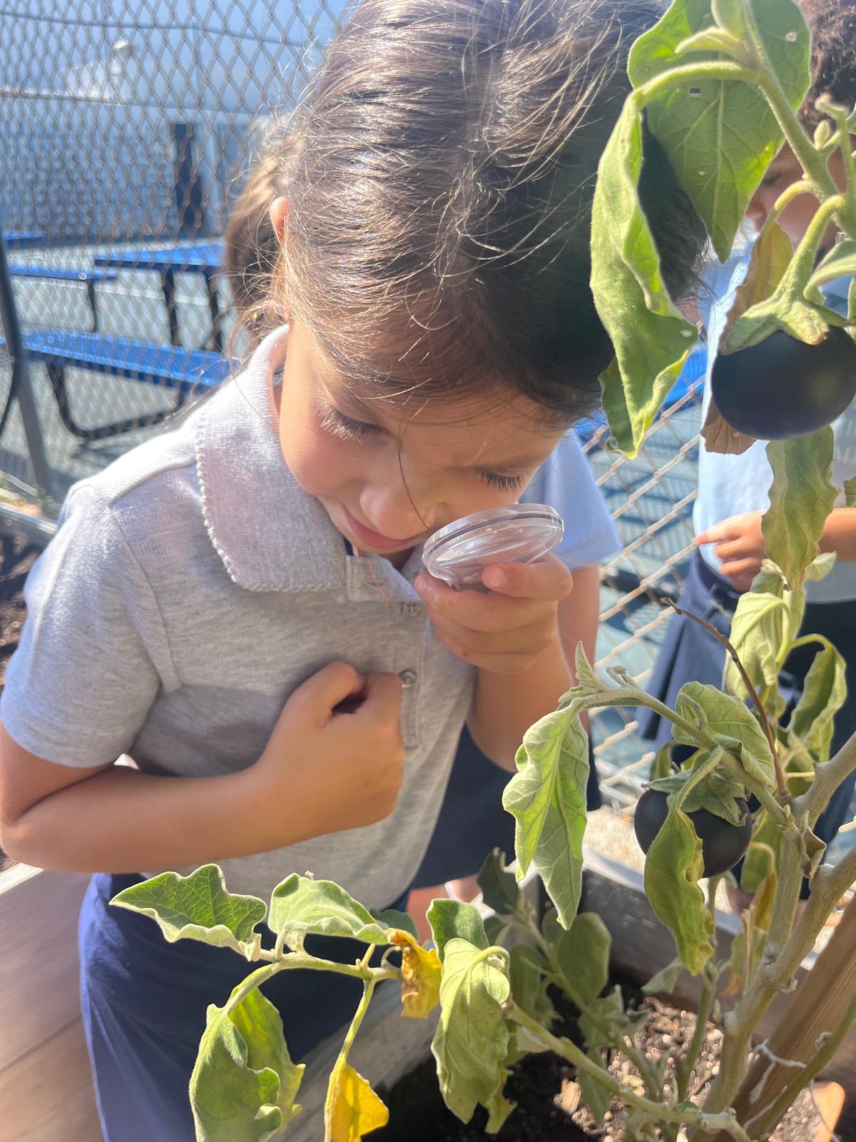 Kindergarten Explores Mitzvot Through Garden Adventures and Bingo in the Grow Torah Garden!